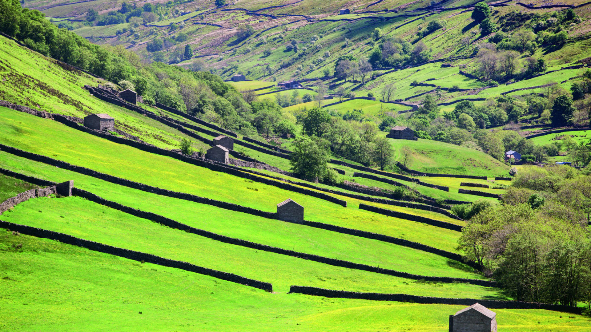 Yorkshire Dales National Park