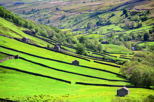 Yorkshire Dales