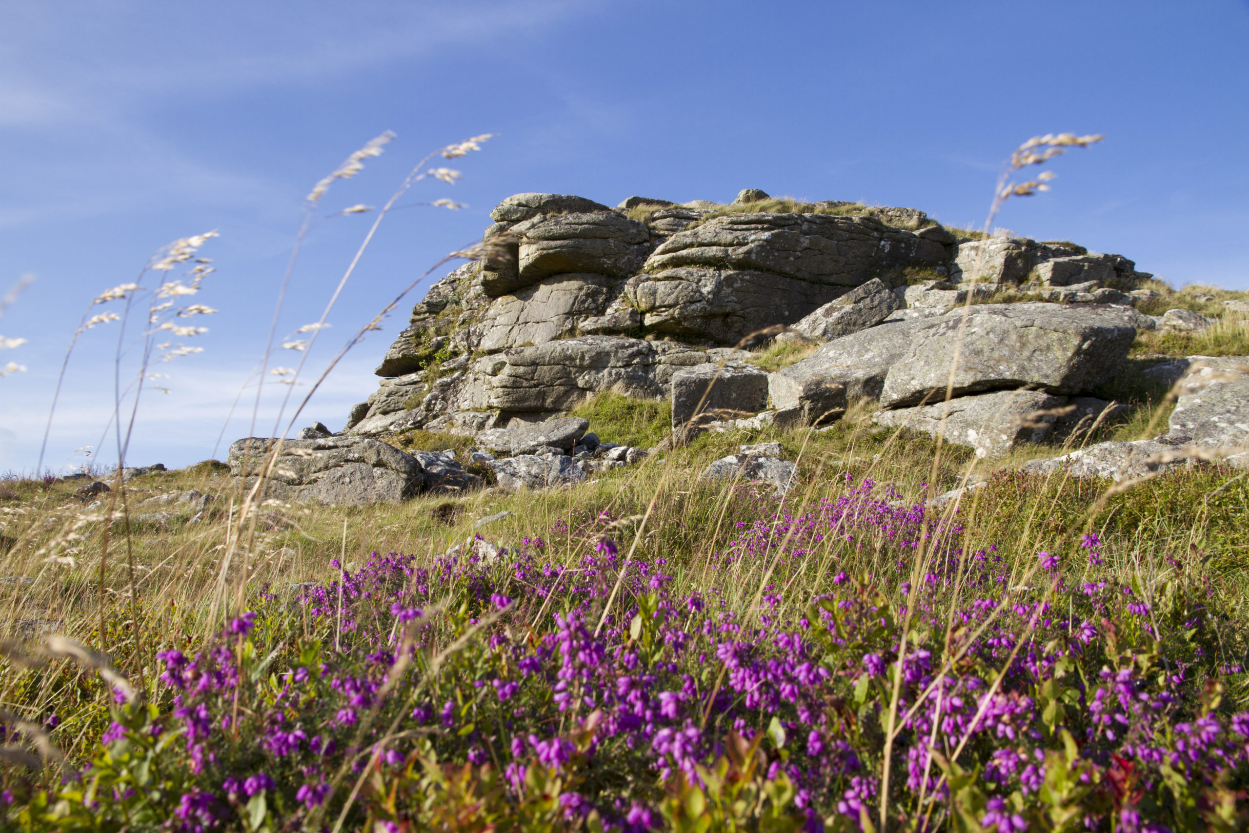 Dartmoor National Parks // Dartmoor Wildlife Park