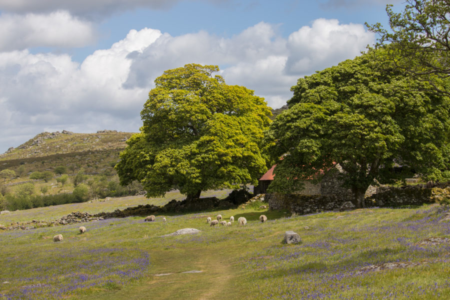 Emsworthy Barn