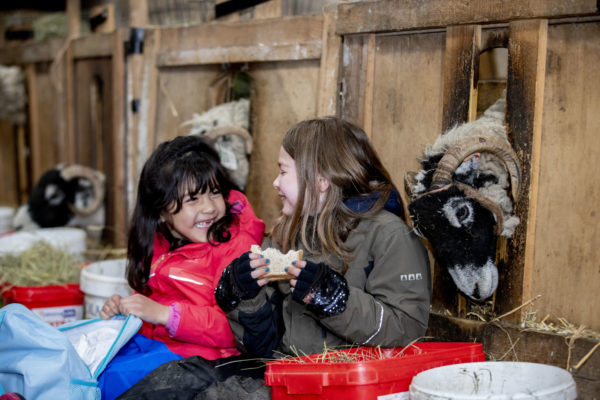 Farm Visits