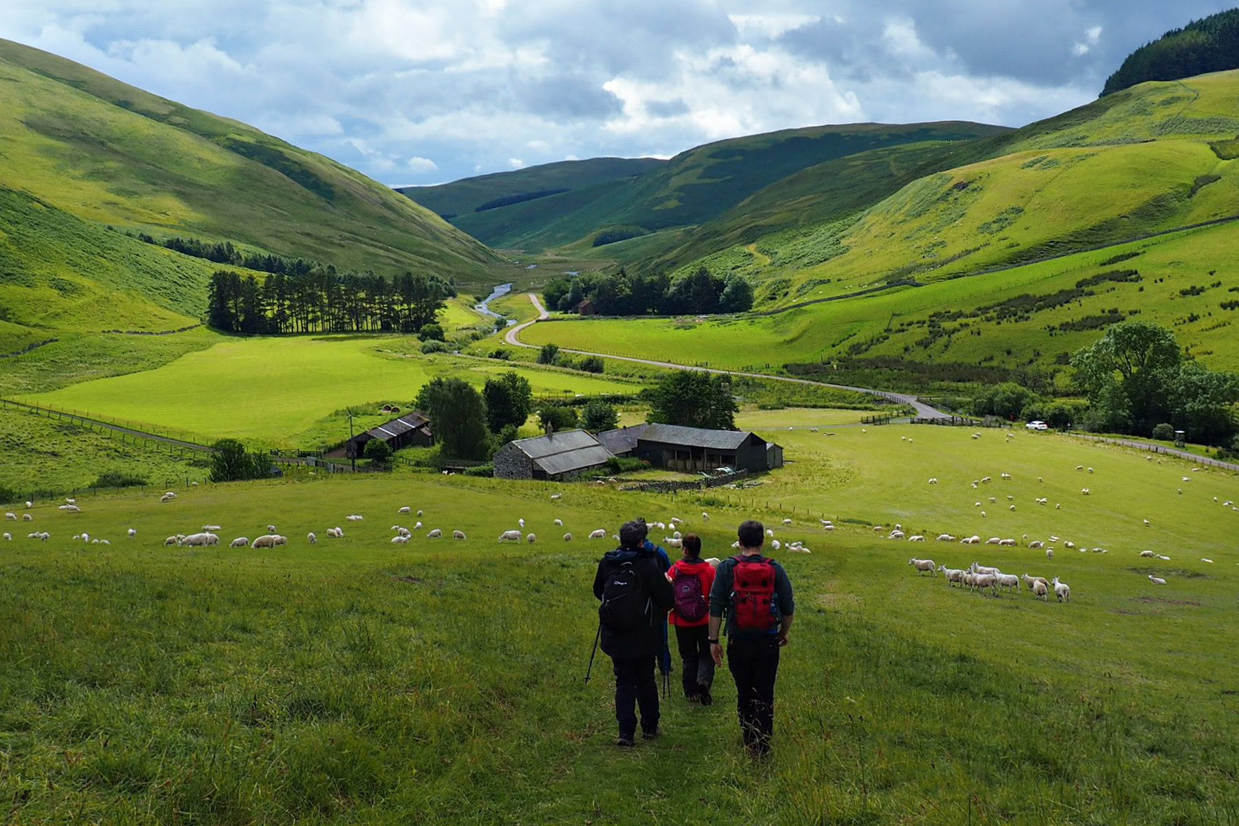 Northumberland National Parks // Hadrian's Wall