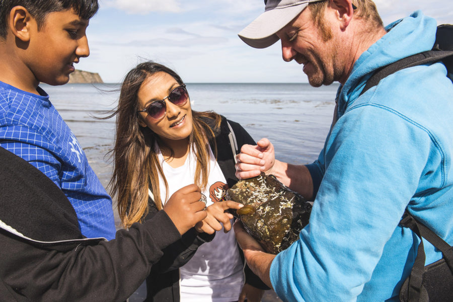 Fossil Hunting with Hidden Horizons