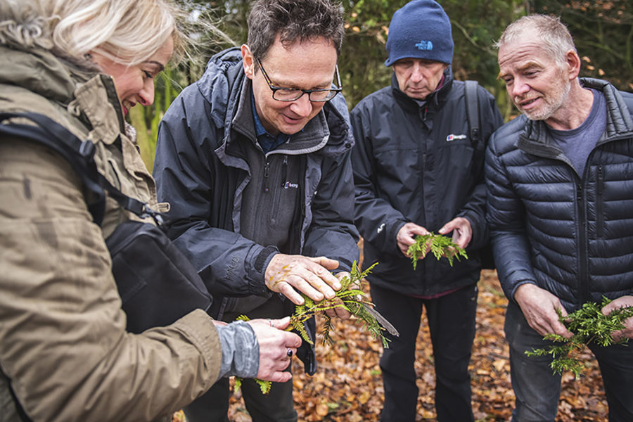 Find events happening in North York Moors National Park