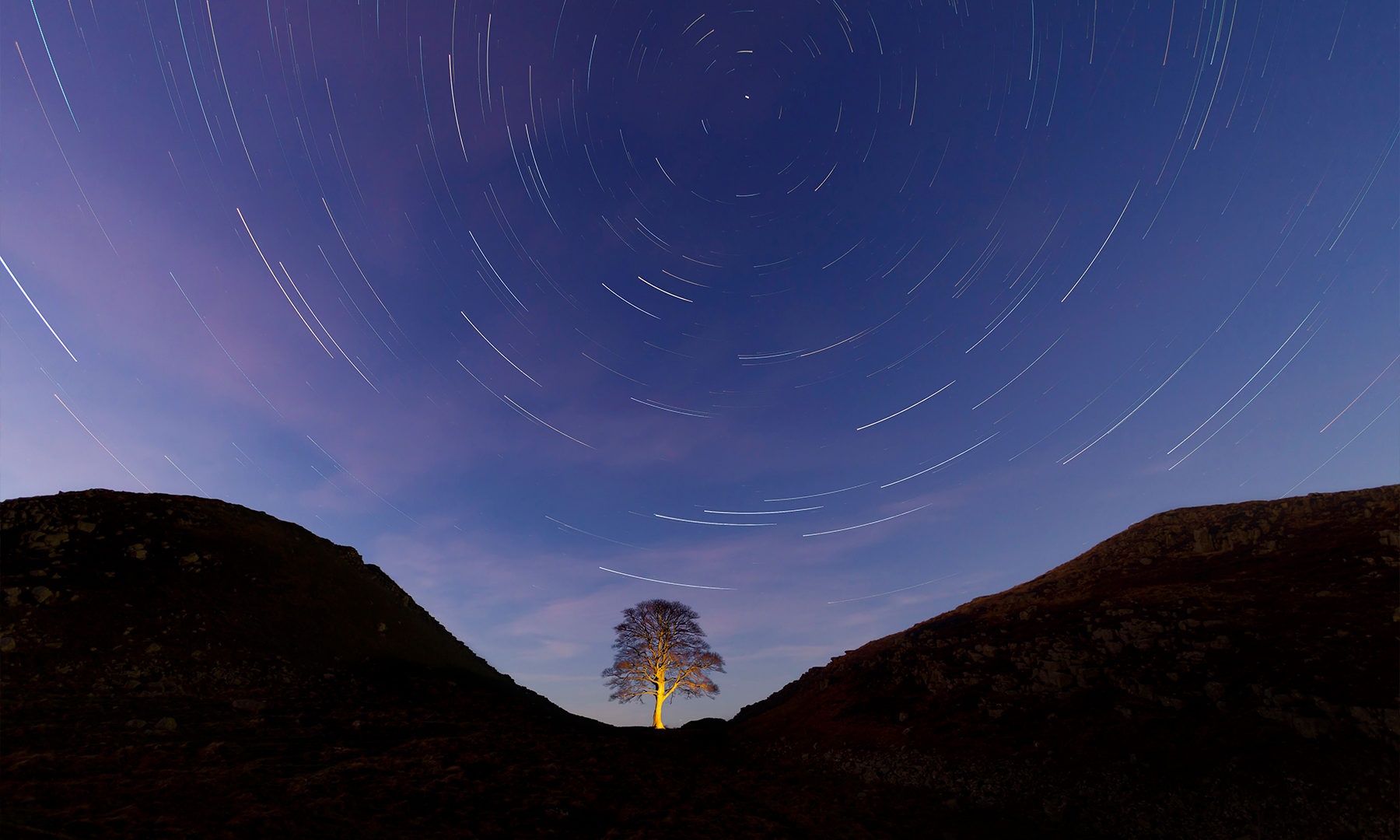 The Sycamore Gap tree at night under the dark skies of Northumberland National Park - the least light-polluted skies in England