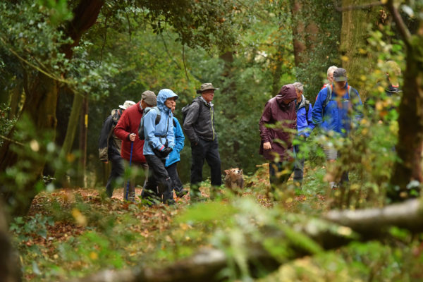 Walk traffic-free trails