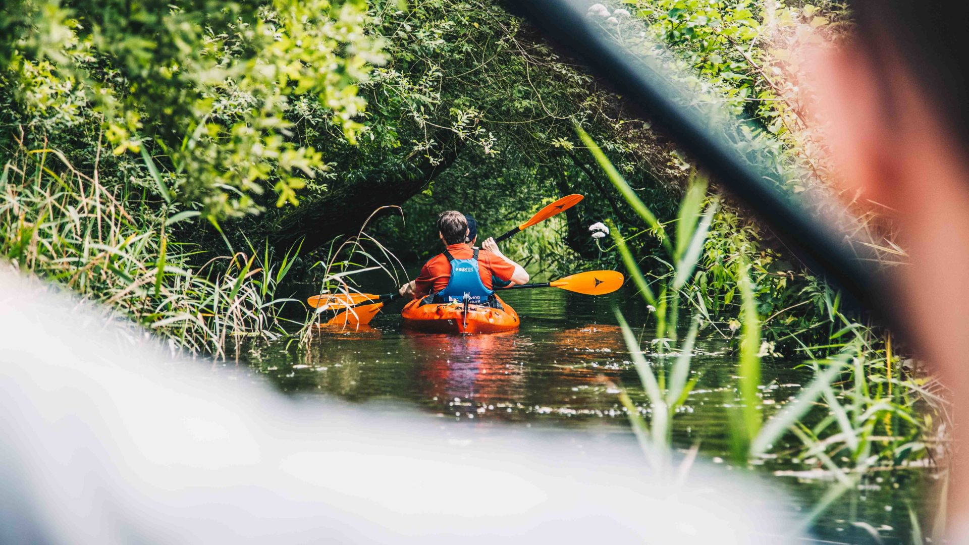 Kayaking in the Yare Valley