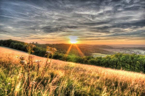 Tourism in National Parks