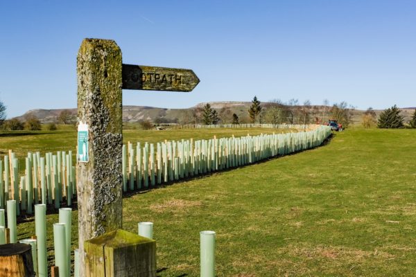 Press Release – National Parks announce new nature restoration partnership 2x