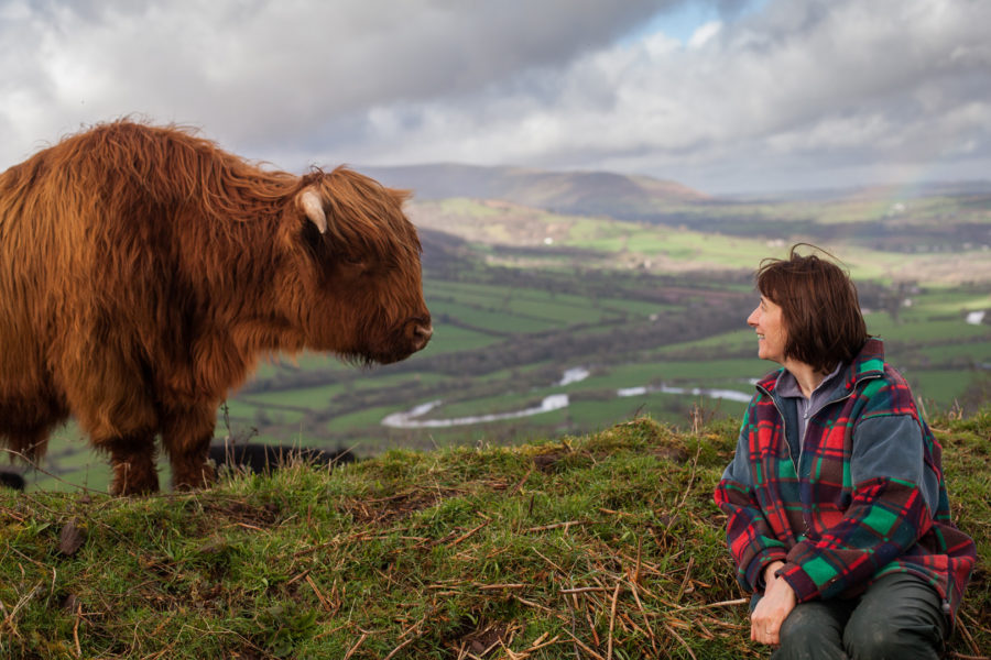 Bannau Brycheiniog (Brecon Beacons) is a farming landscape