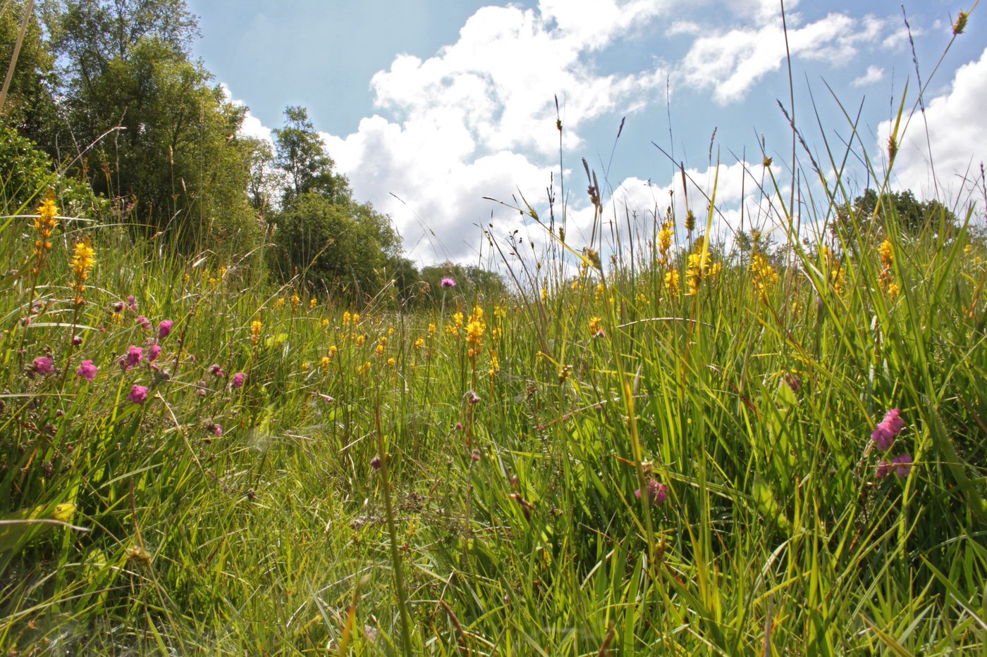 UK National Parks Foundation