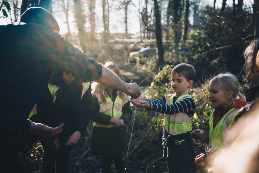 North York Moors National Park Activity