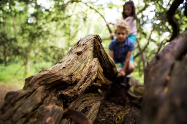 Are children in tune with the Nature Pyramid?