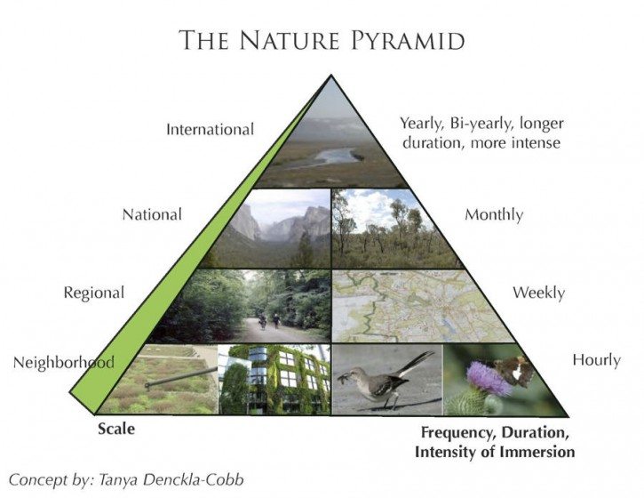 A hypothetical depiction of The Nature Pyramid. Graphic by Tim Beatley.