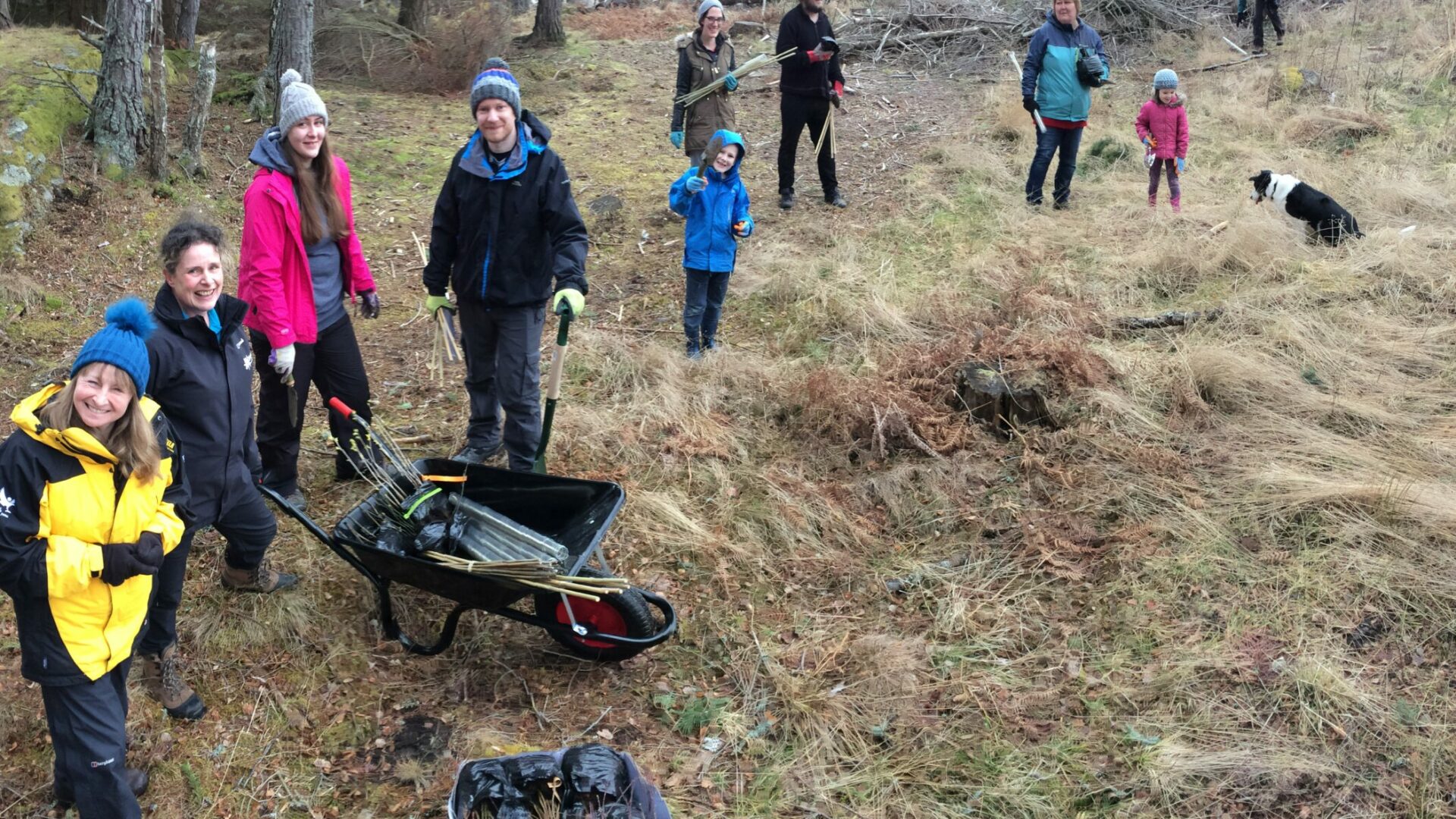 All Parks Volunteer Day