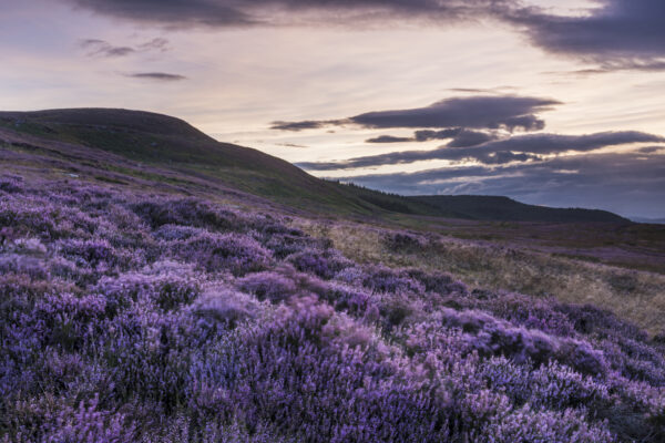 Northumberland