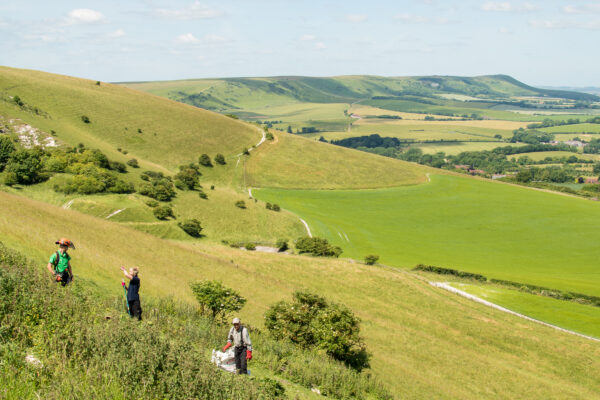 South Downs