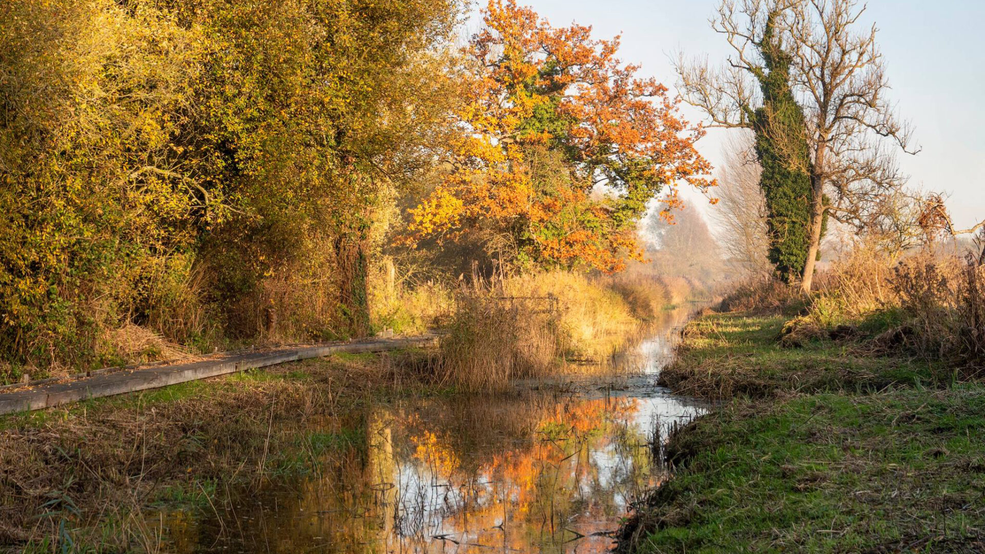 Photography copyright Ann Kerridge