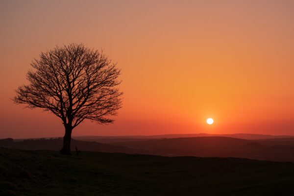 Discovering: Cissbury Ring 2x