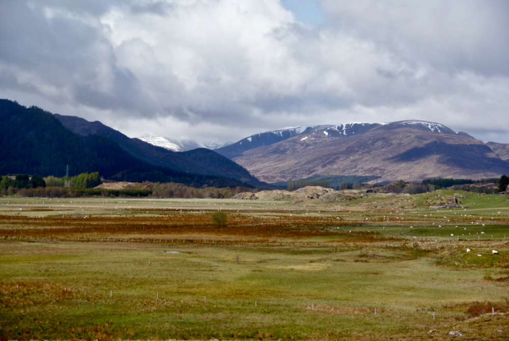 Laggan, Cairngorms National Park