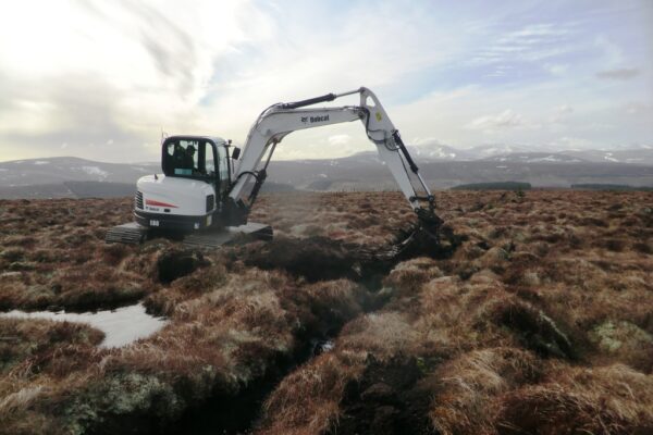 Press Release – Major global companies to fund vital nature restoration projects in the UK’s National Parks 2x