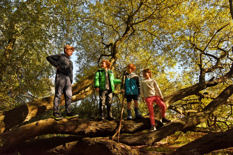Find events happening in New Forest National Park