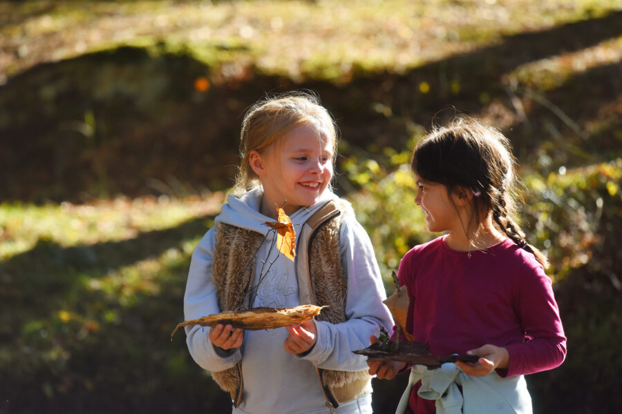 Yorkshire Dales National Park Activity