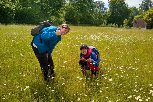 Look Wild: Young people use iNaturalist to support open-air museums 2x