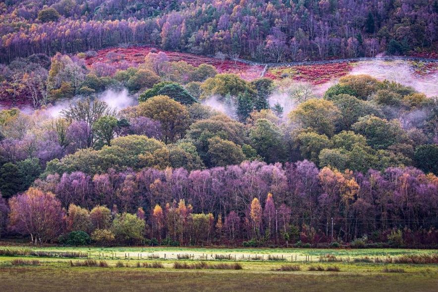 About National Parks Partnerships