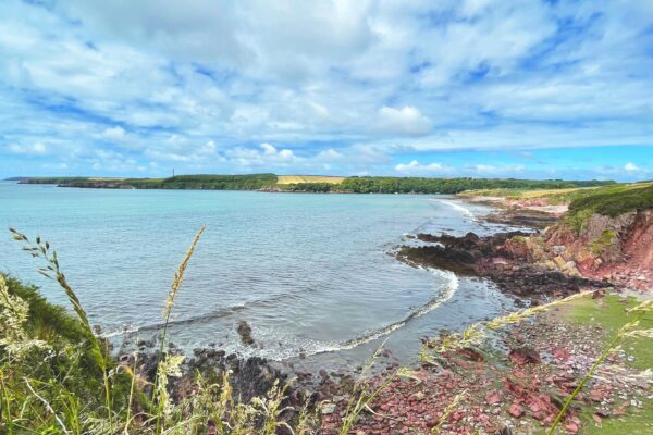 Discover: Milford Haven Waterway 2x