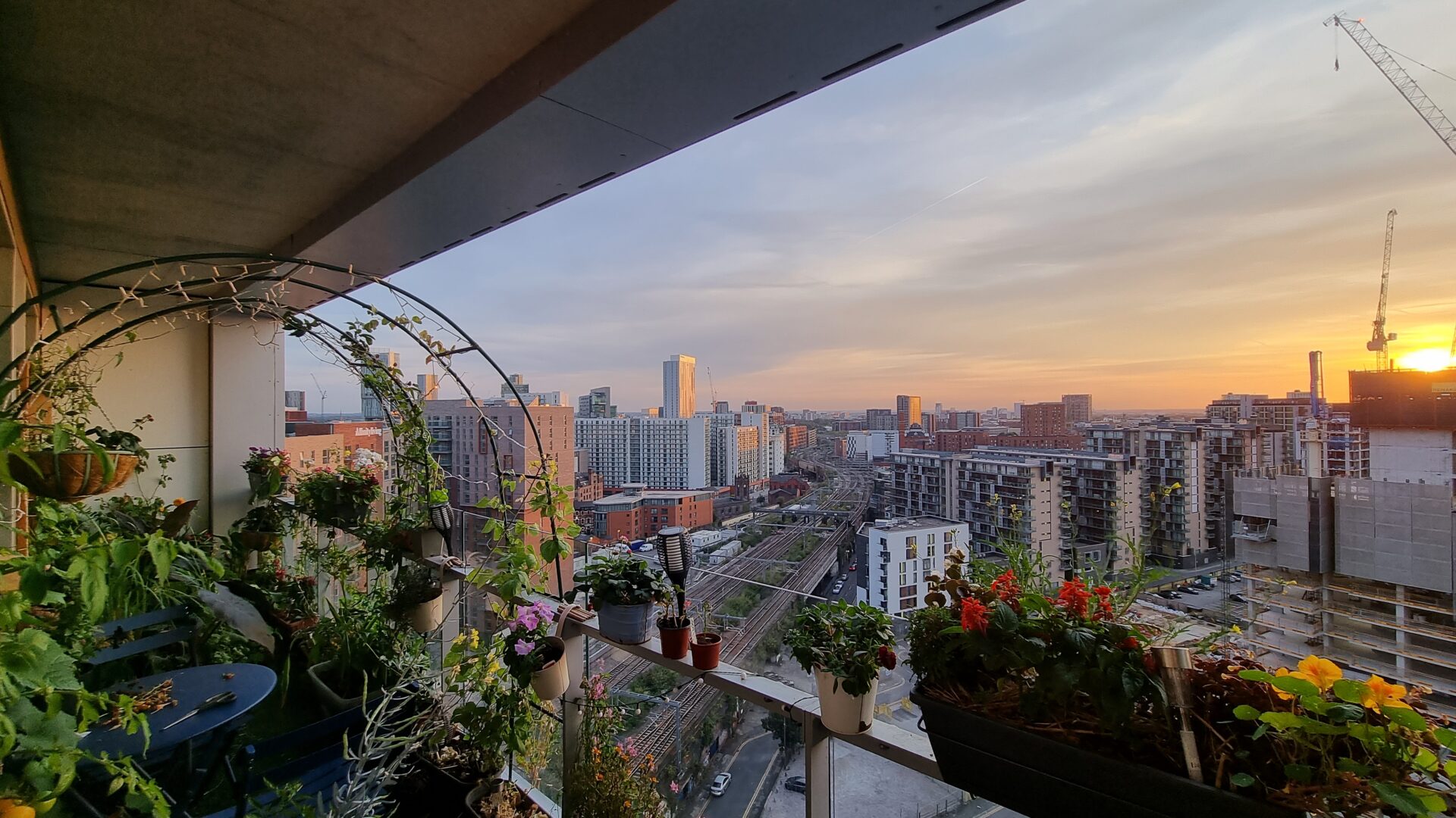 The Cloud Garden