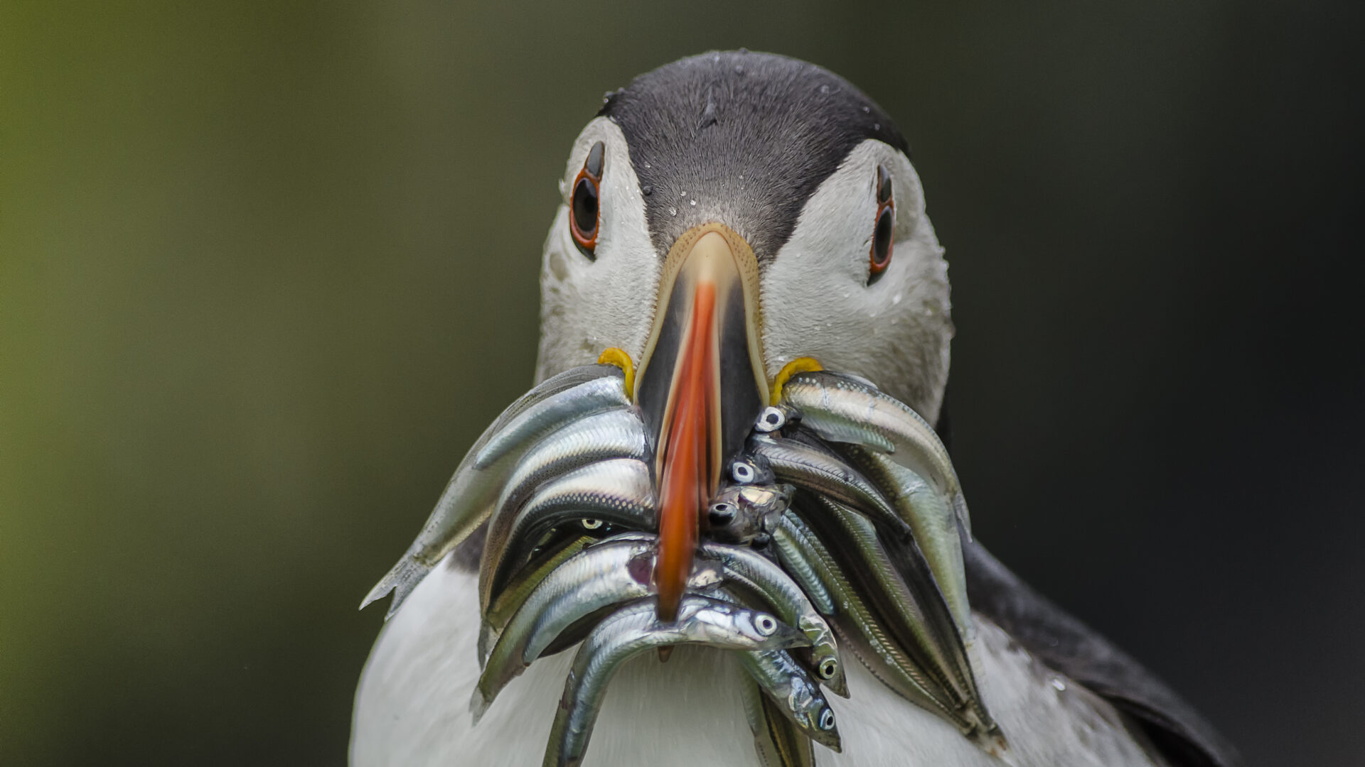 National Parks Photography Competition