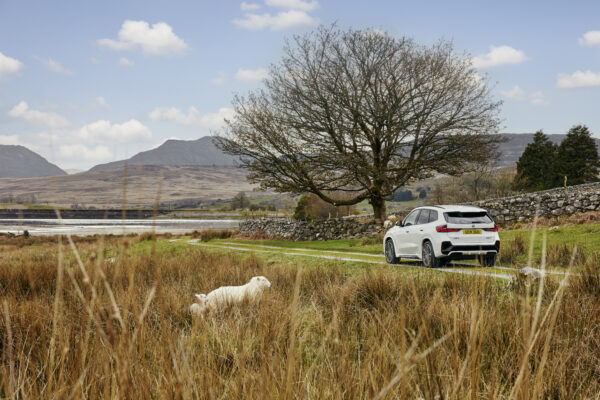 Press Release – RECHARGE IN NATURE – BMW SUPPORTS NEW NATIONAL PARKS PROJECTS 2x