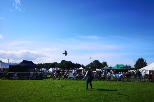 Discover: Agricultural Shows in the Lake District 2x