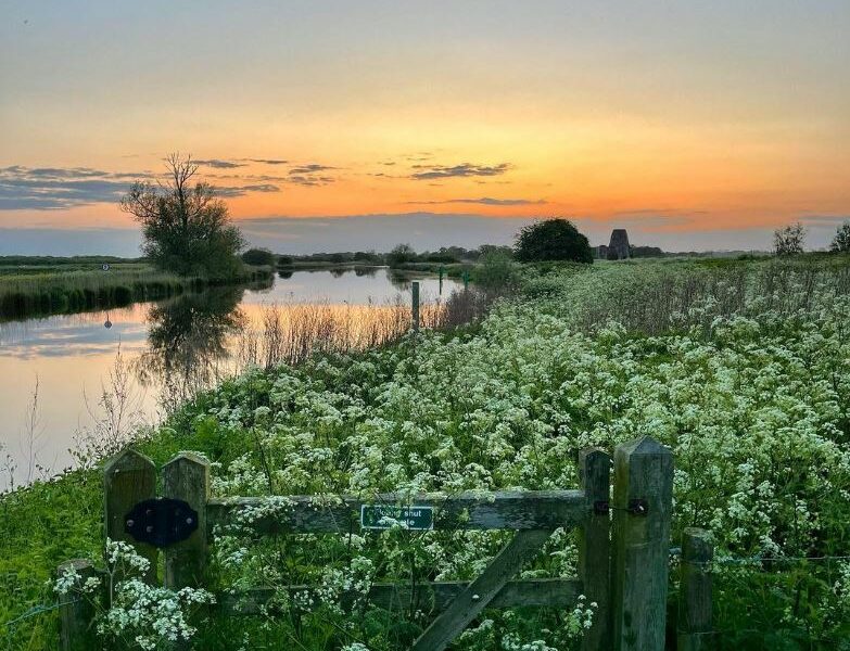 Broads National Park ©jobo_photos