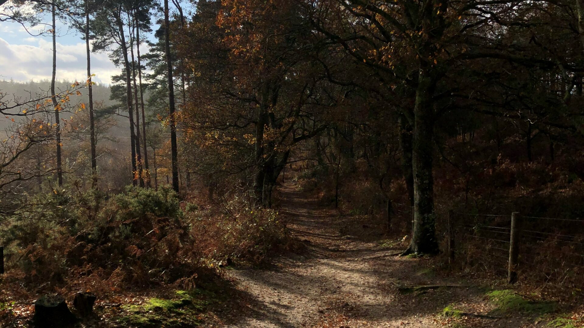 well being trail