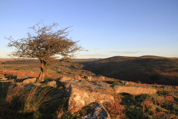 Discover: Dartmoor 2x