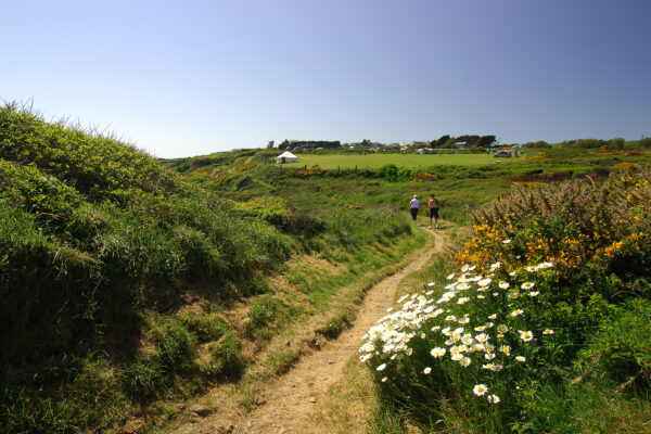 Discover: Pembrokeshire Coast Path 2x
