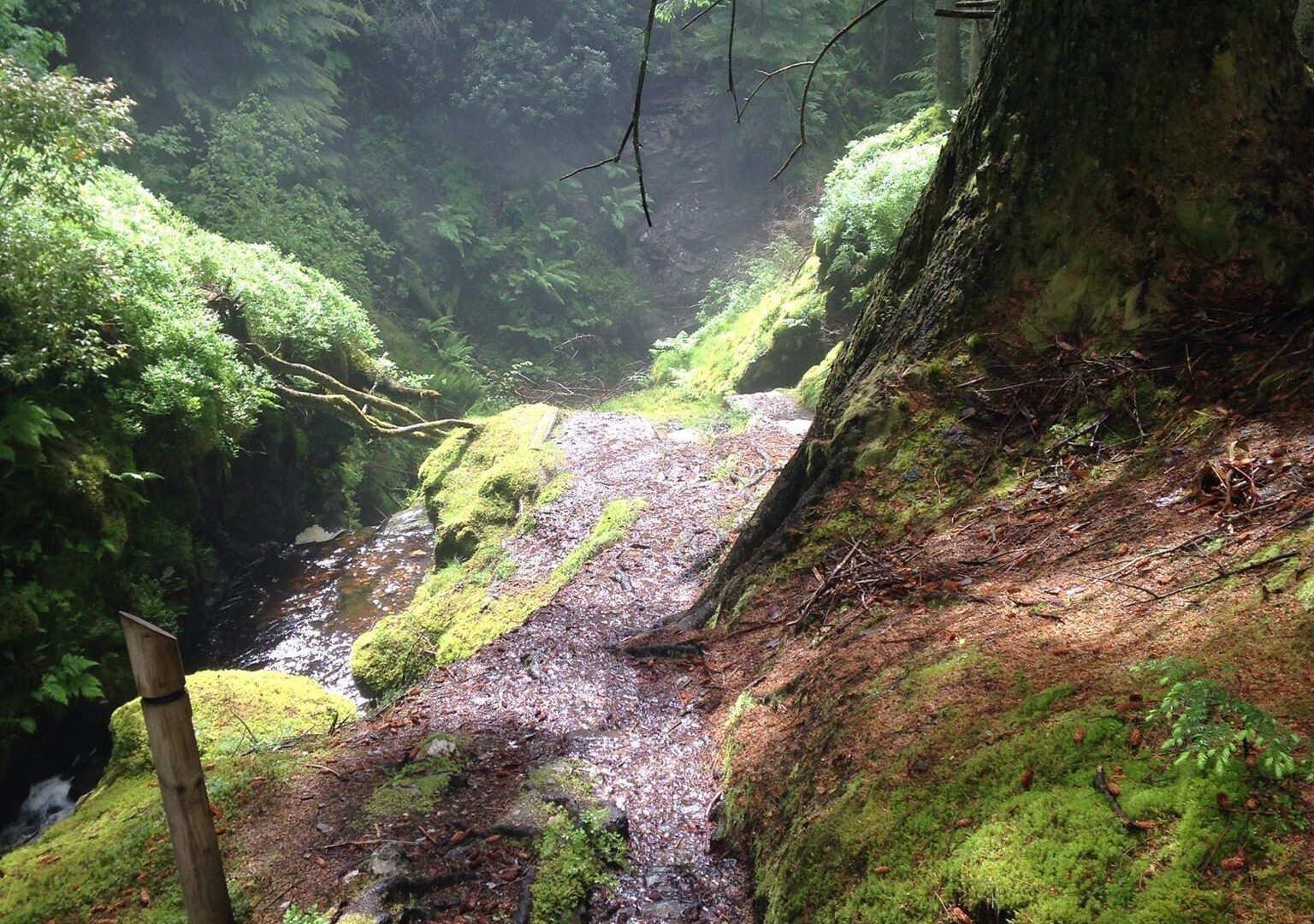 Blog