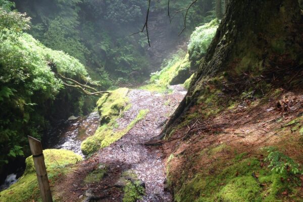 Discover: Puck’s Glen 2x