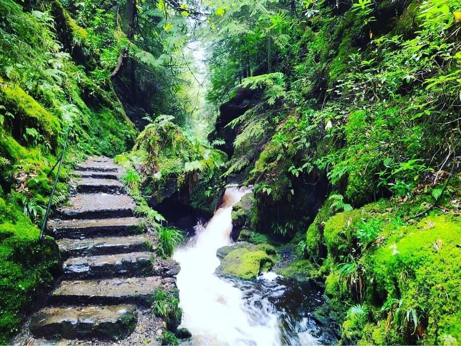 Puck's Glen 