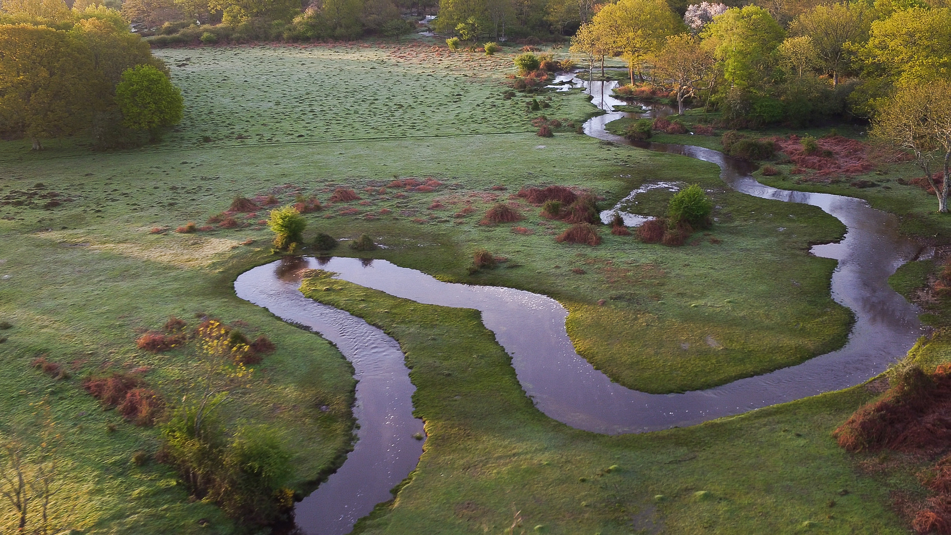 A stream in the New Forest National Park 'rewiggled' as part of a wetland restoration project