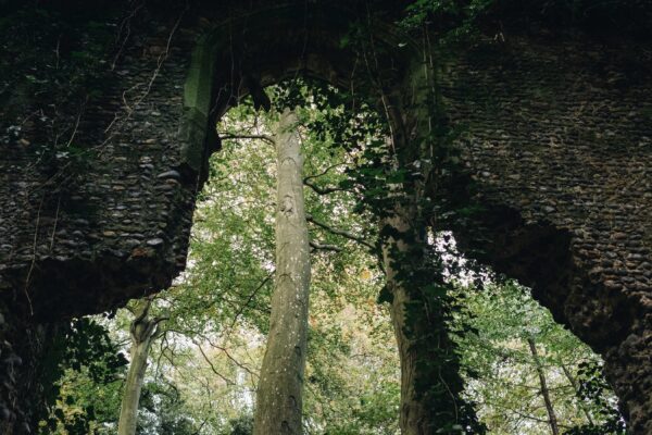 Discover: Folklore of the Broads 2x