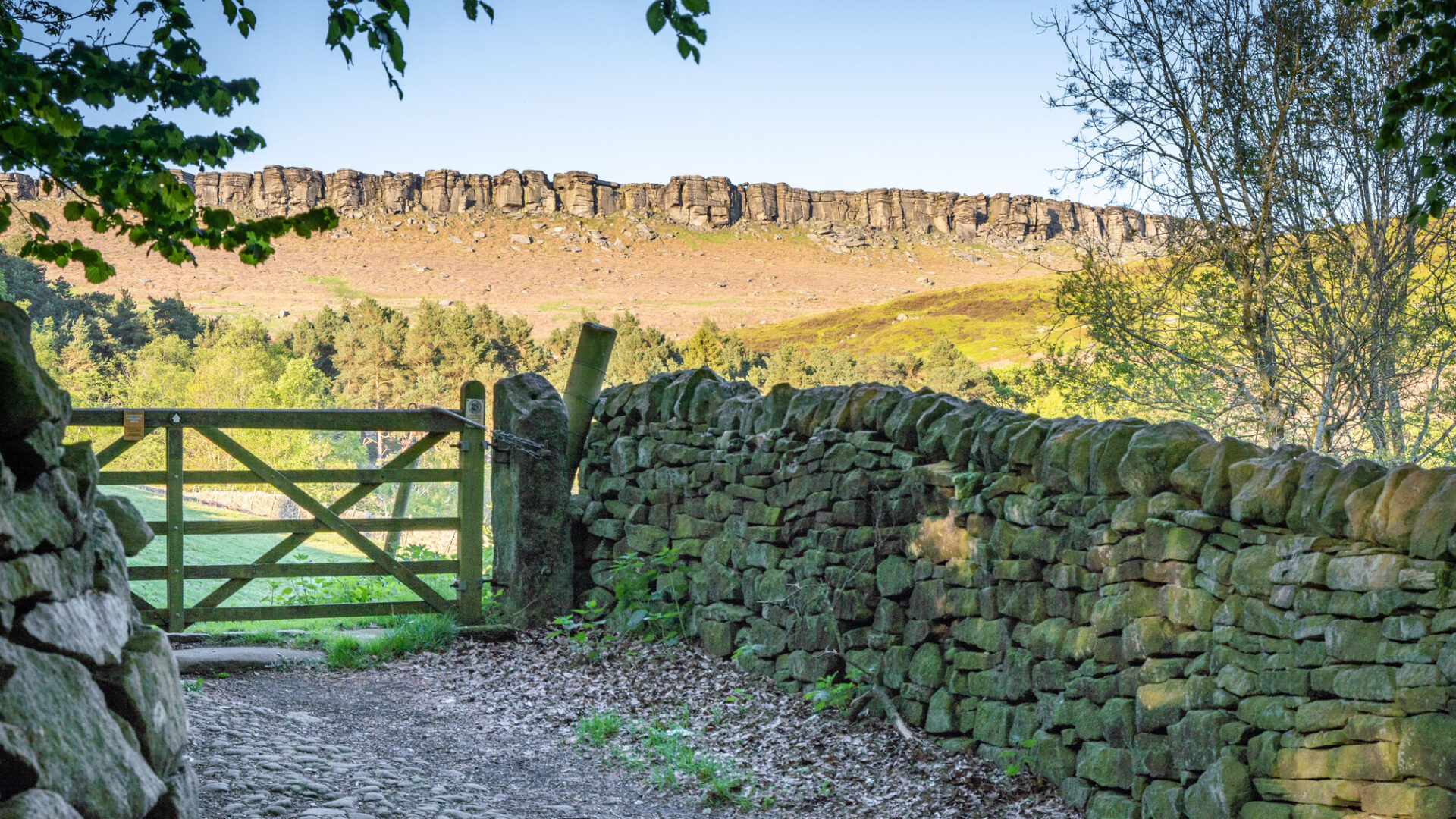 View of Stanage Edge from Tain Wood