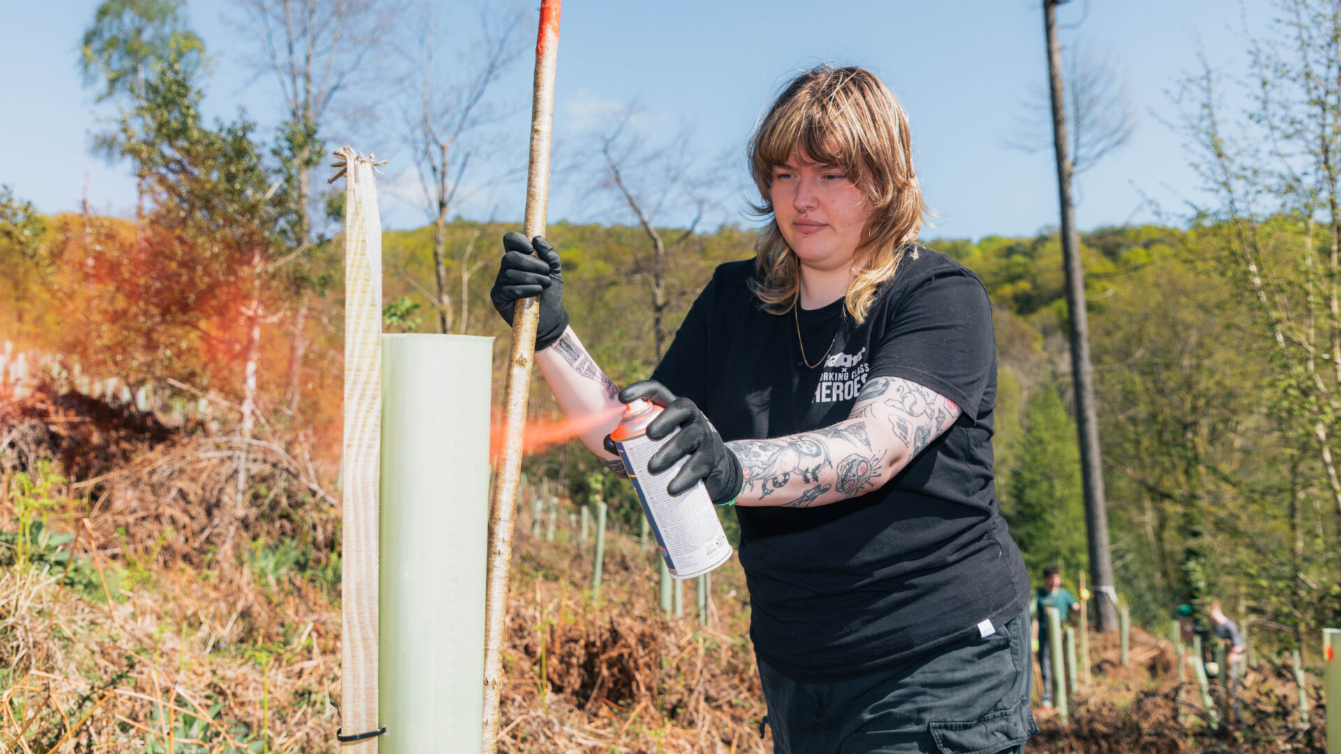 Tree marking © Working Class Heroes