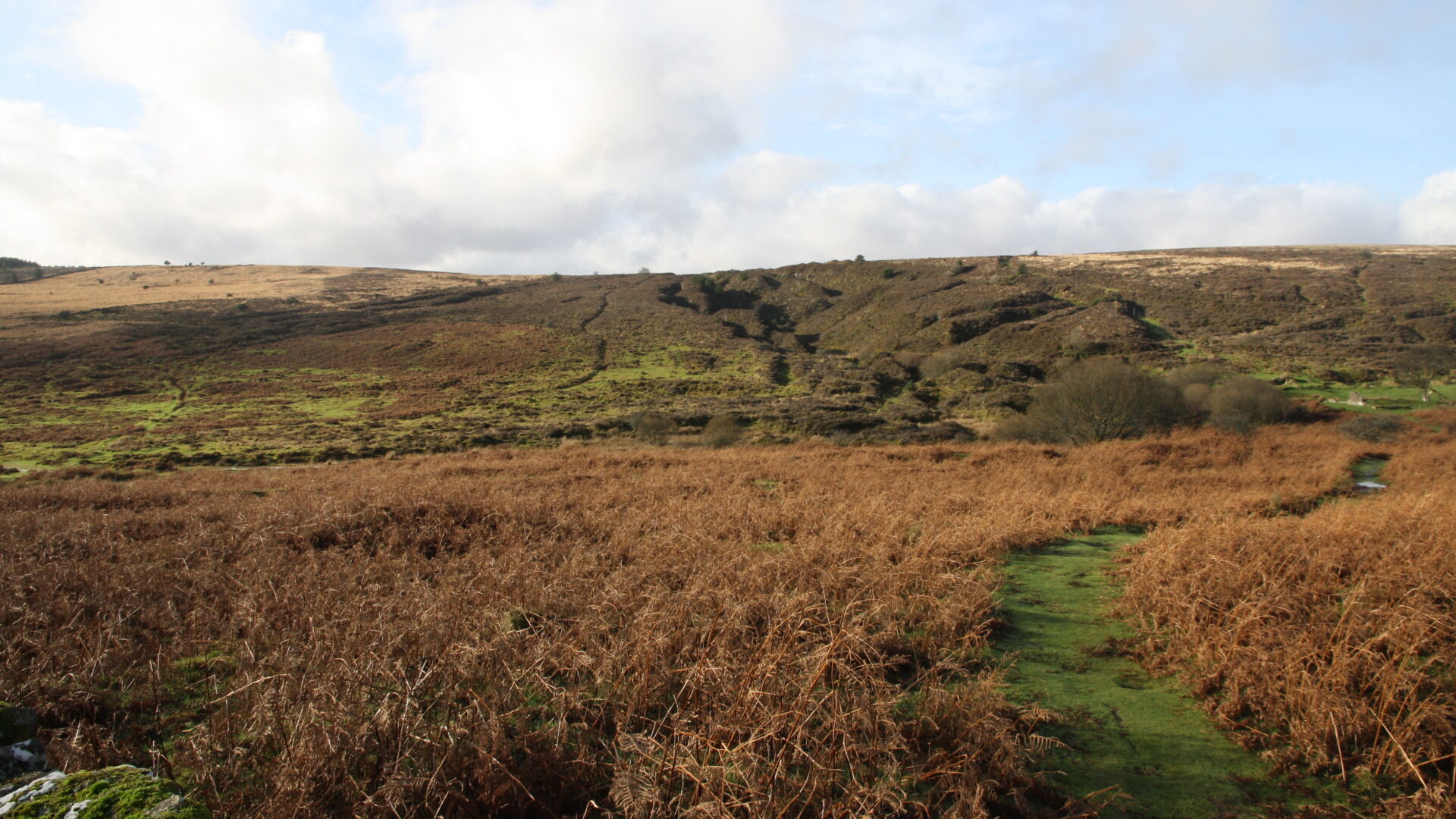 Imprints of a tin mining past near Birch Tor 