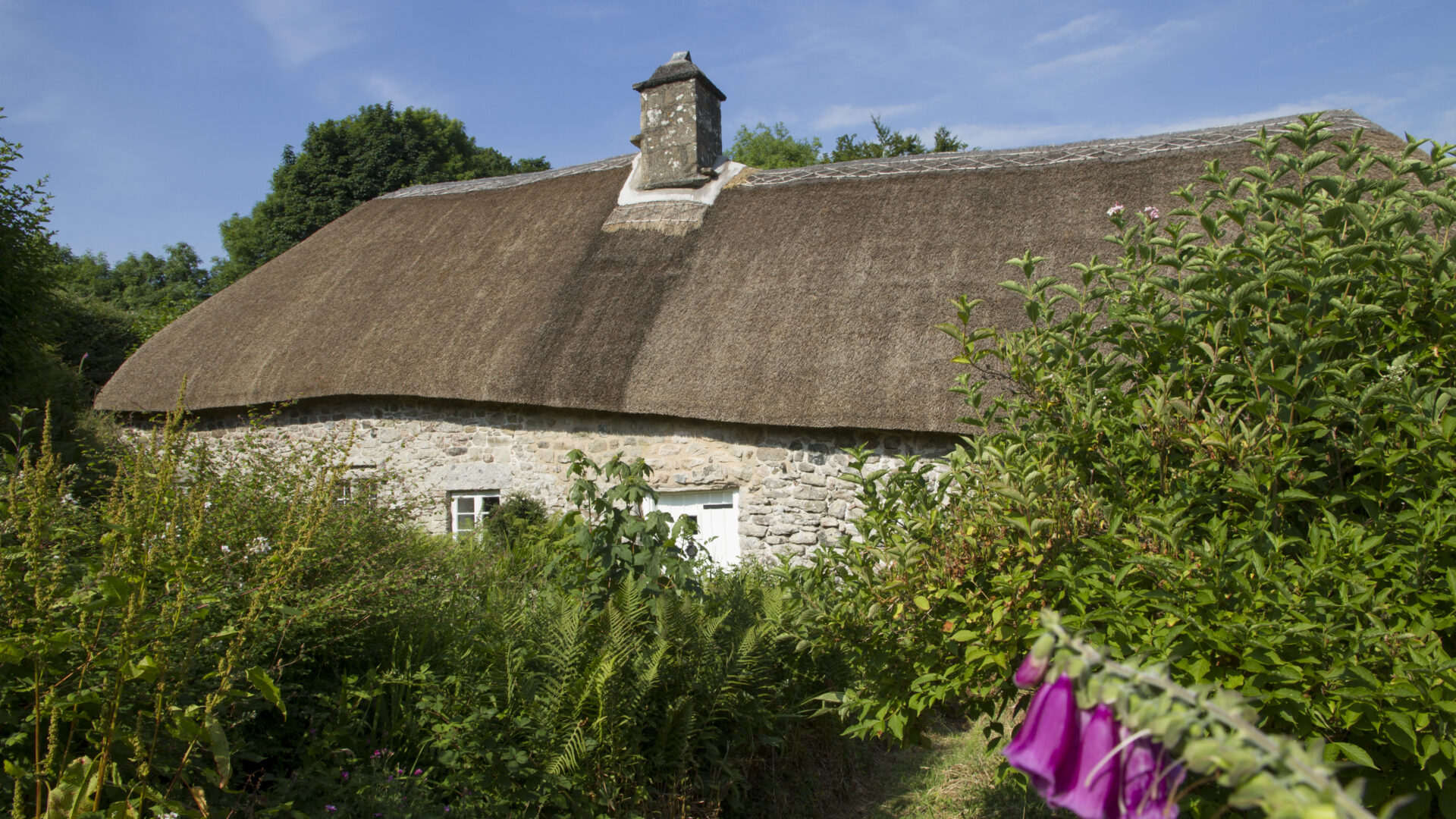 The longhouse at Higher Uppacott is owned by the Dartmoor National Park Authority 