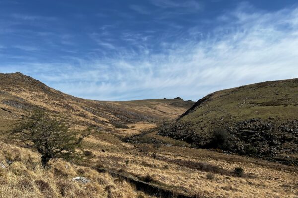 Discover: Dartmoor through the millennia 2x
