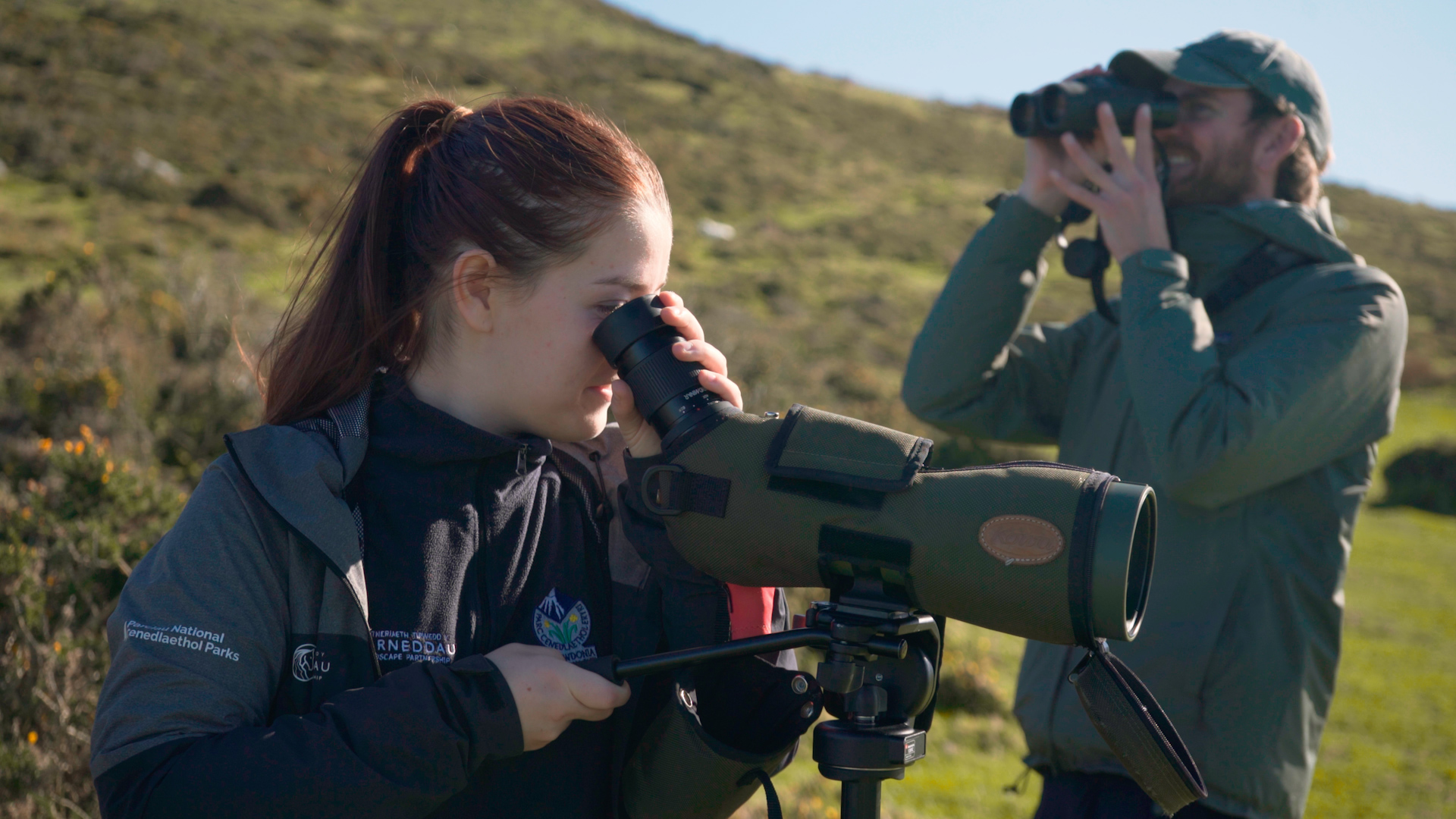 The National Park's Carneddau team monitors the chough population