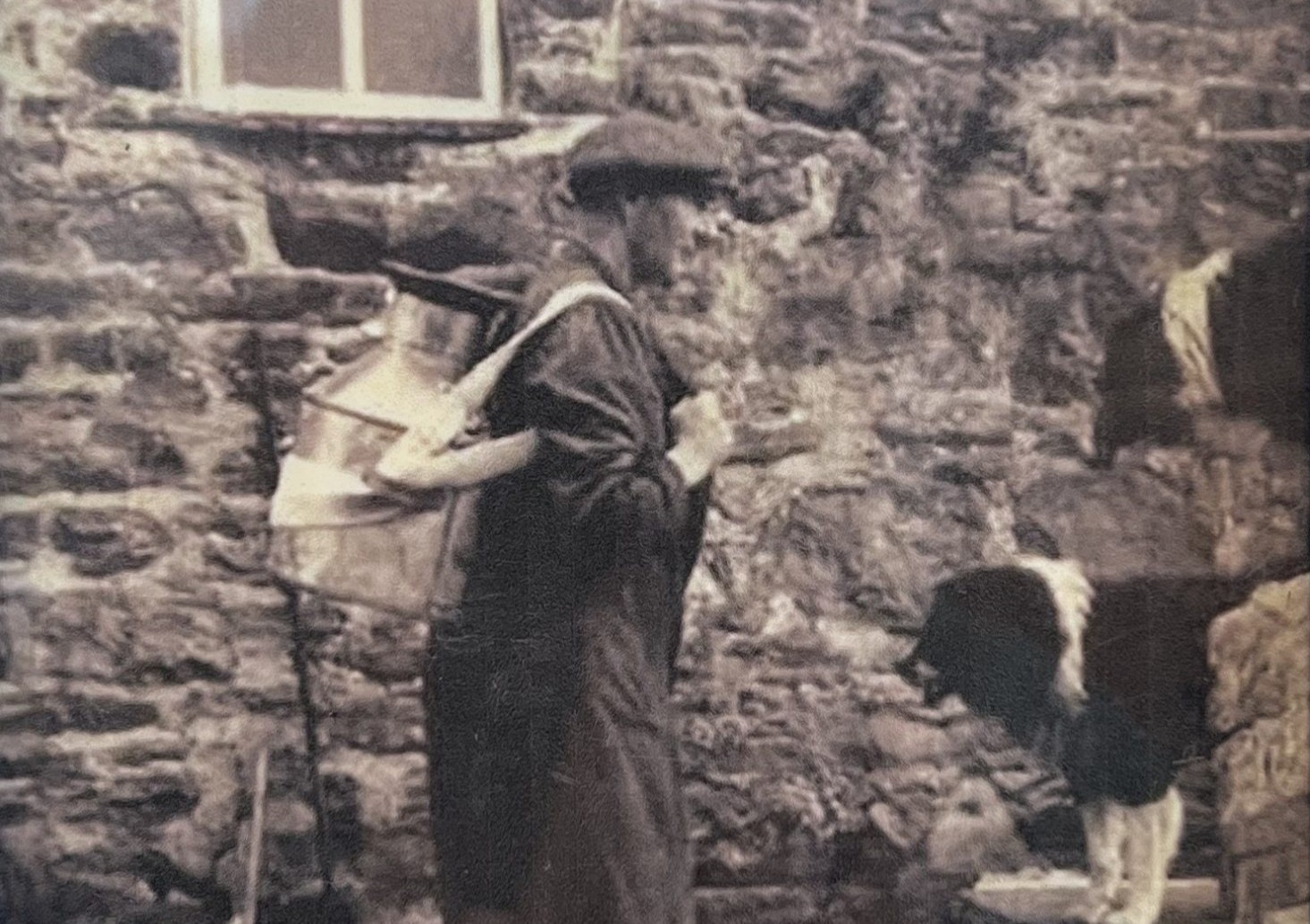 Transporting milk from farm to dairy. Photo: Keld Resource Centre
